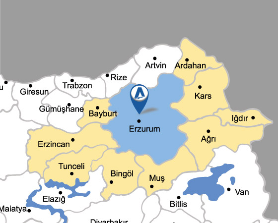 Erzurum TMGD