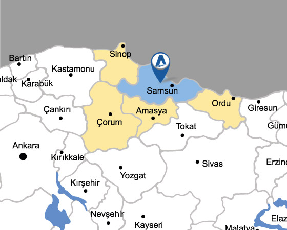 Samsun TMGD